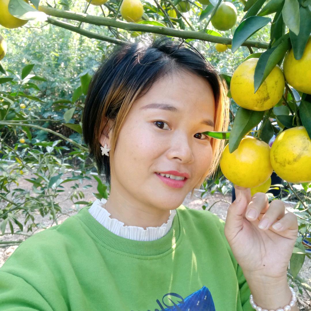 韦女士的花园