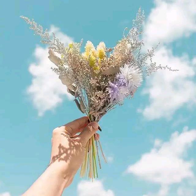 💕 平安💞喜乐ꦿᩚ࿐: