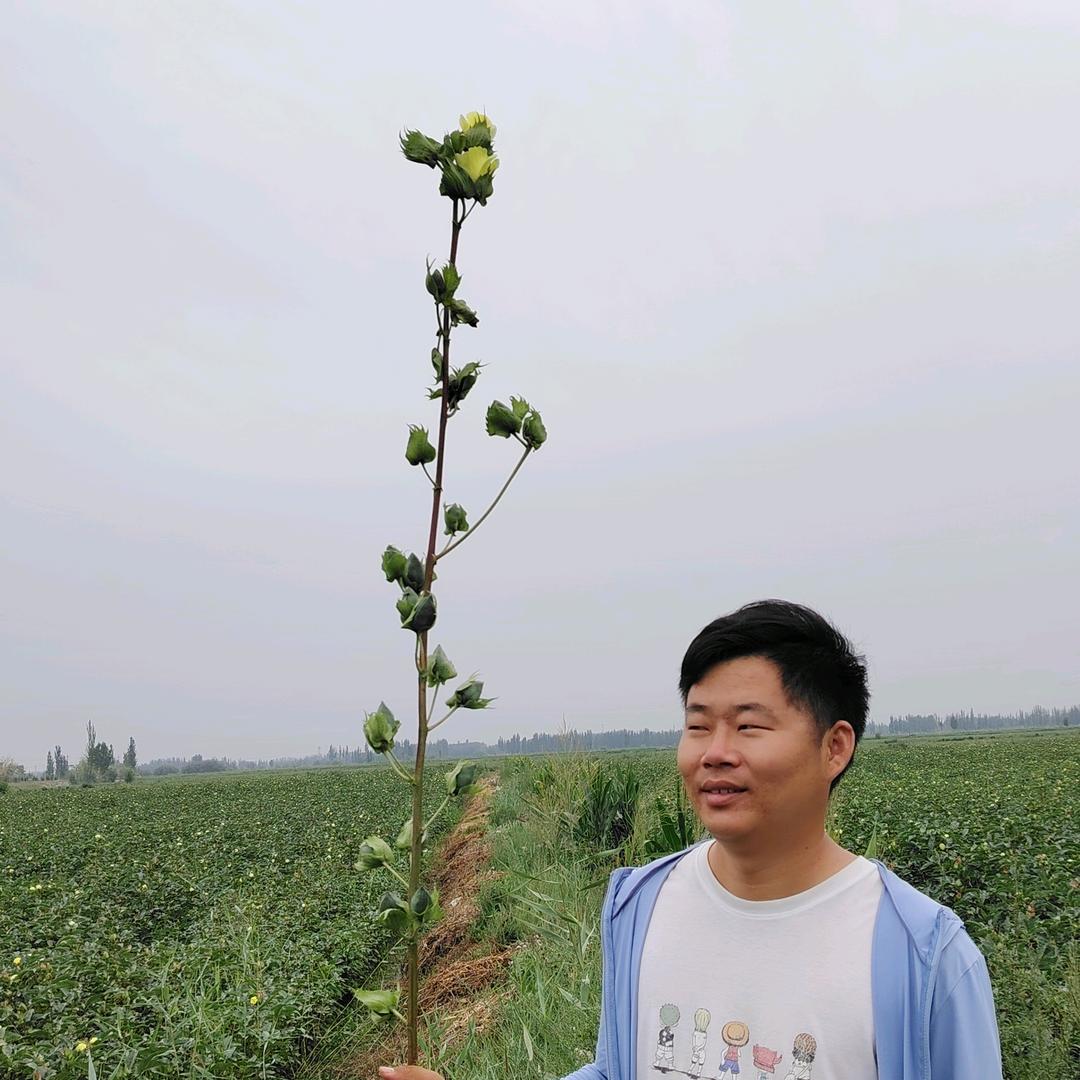 初心不改繁花依旧