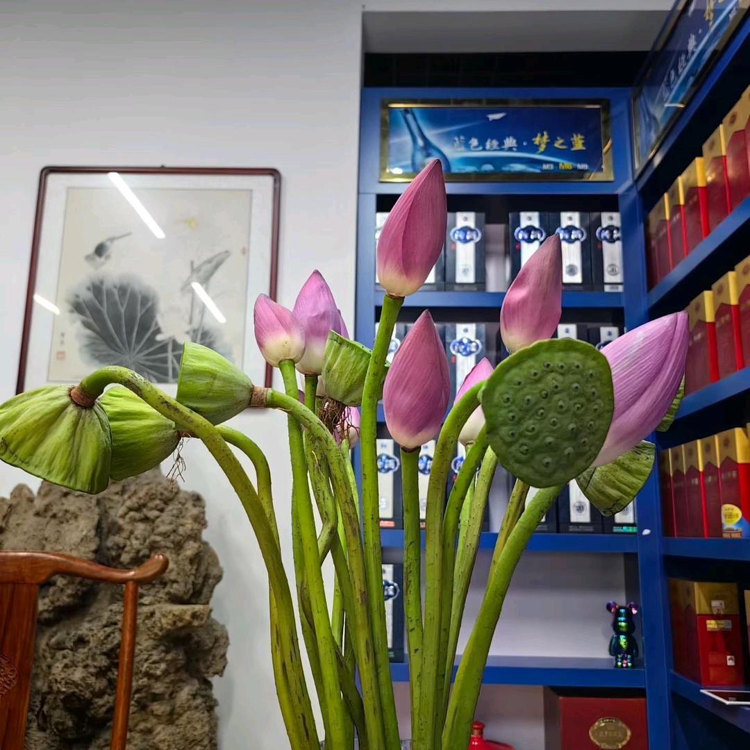 云朵汇店长
