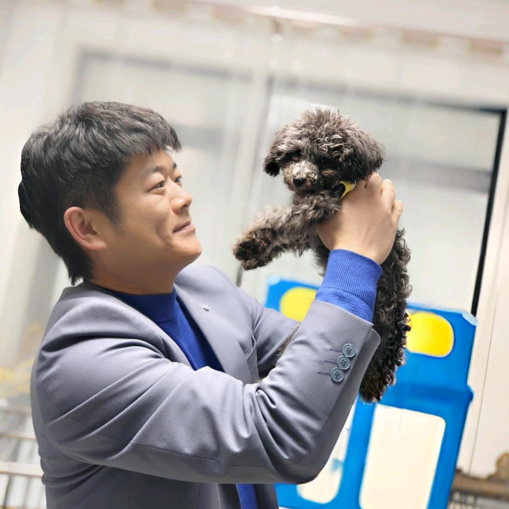 大张.说养狗(比熊幼犬有售)