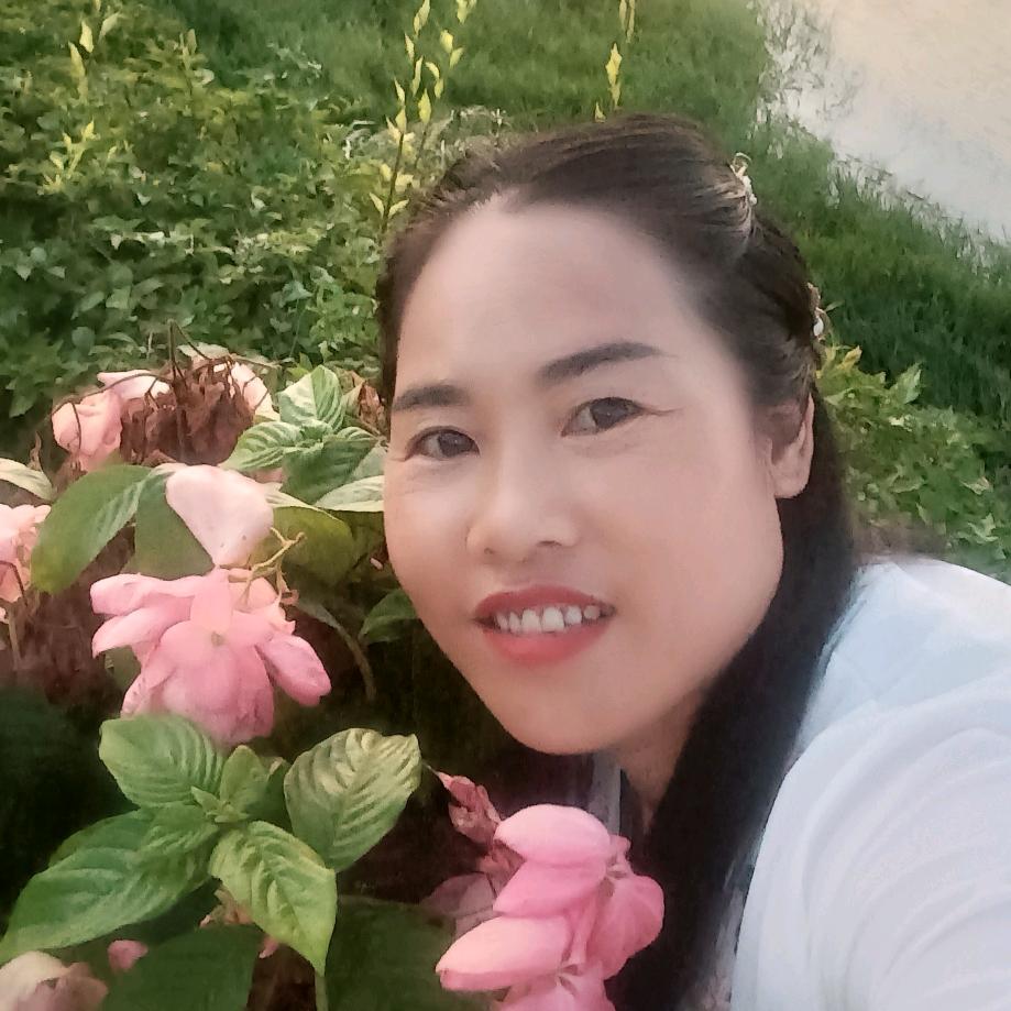 苦命的小草