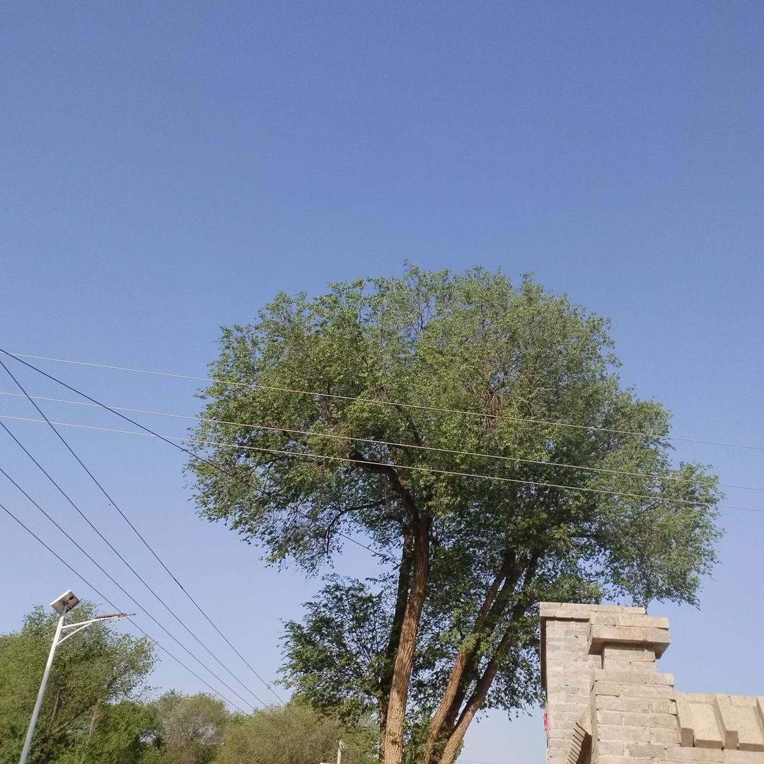 （2013）/2025！……