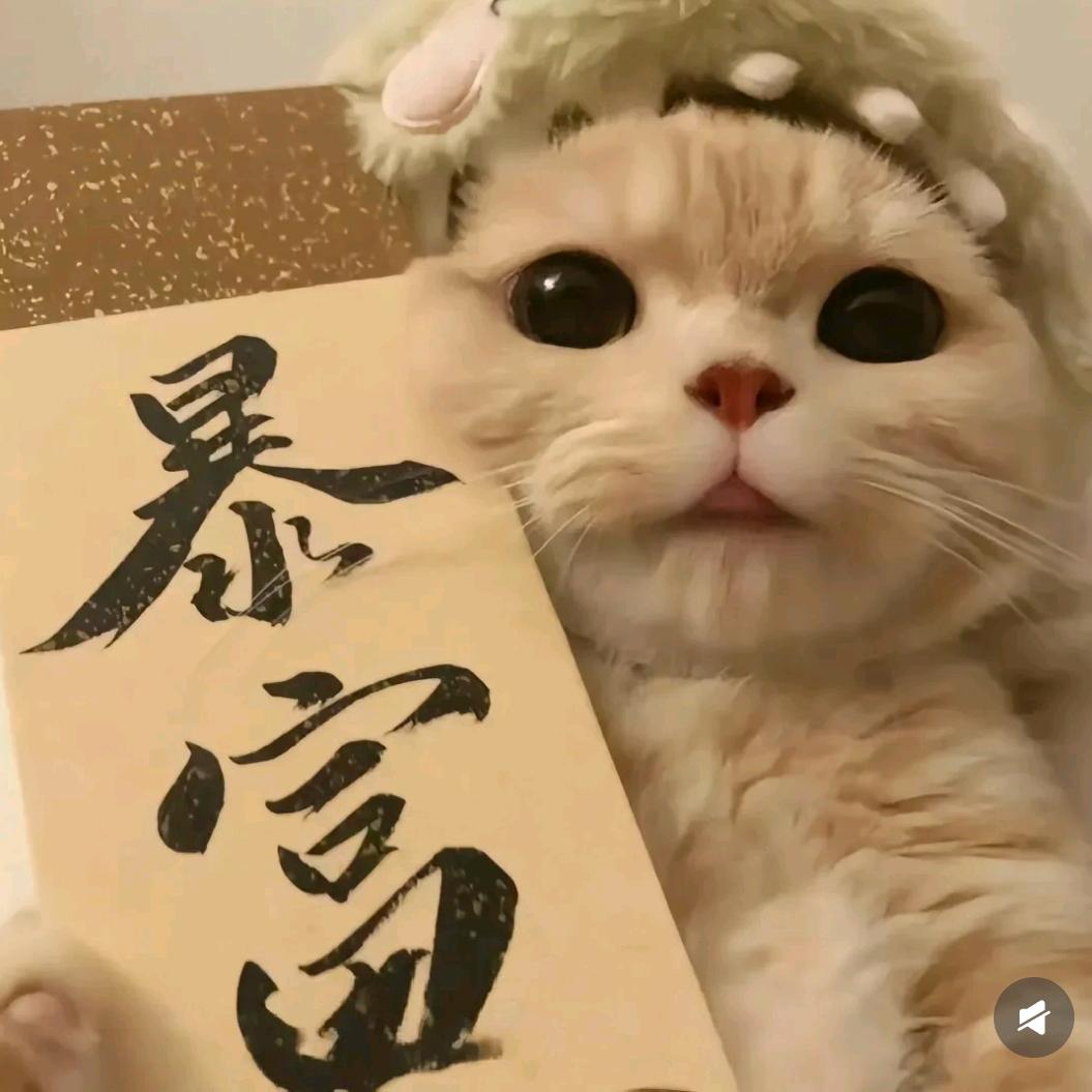 星罗好物