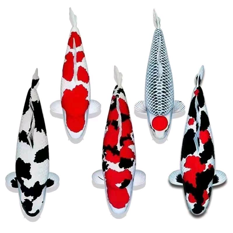 镇平县汐渲水产店