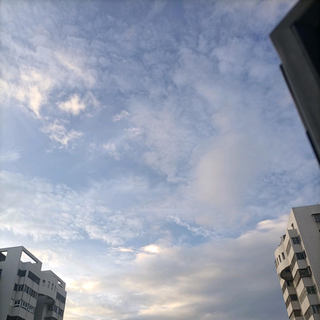 心向天空