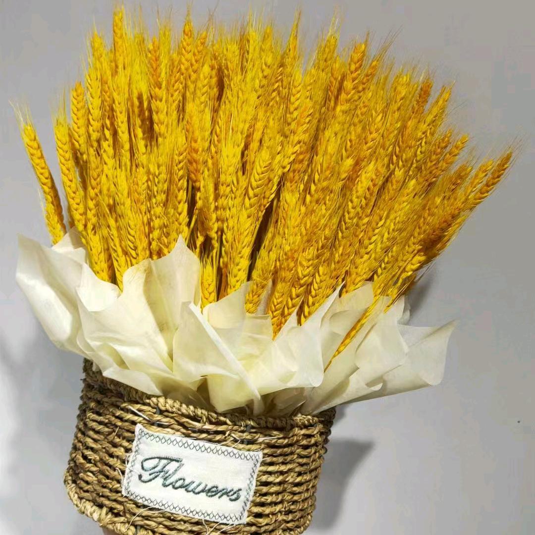 ꧔ꦿ᭄好运💞不段᭄࿐