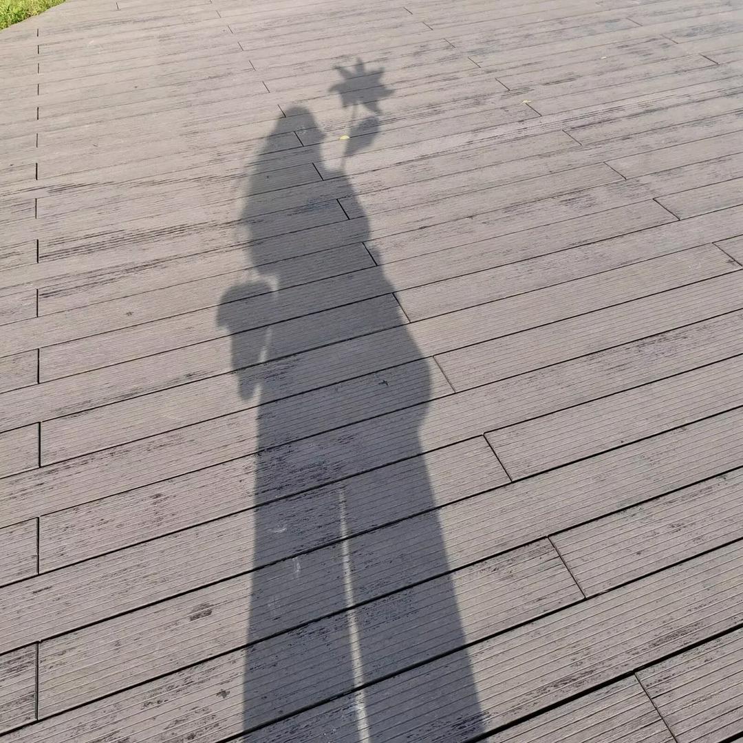 半糖
