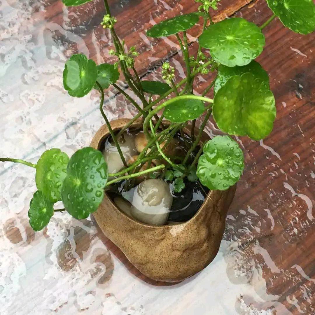 求求