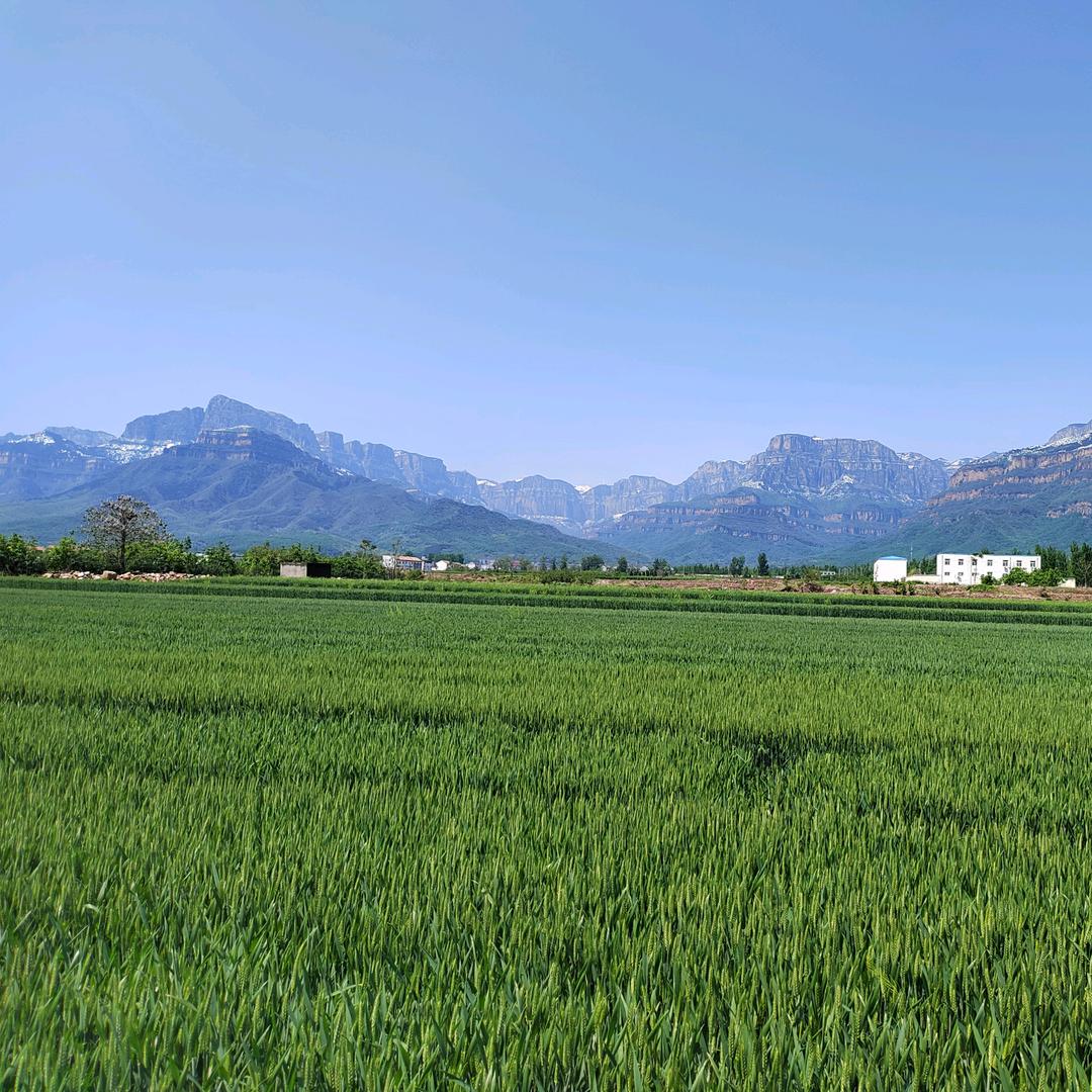 林州市壁挂炉 热水器 天然气灶维修