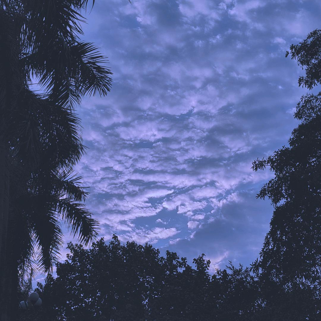 ☞☜L