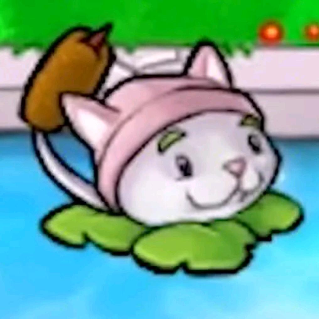 猫尾草😭ಥ_ಥ