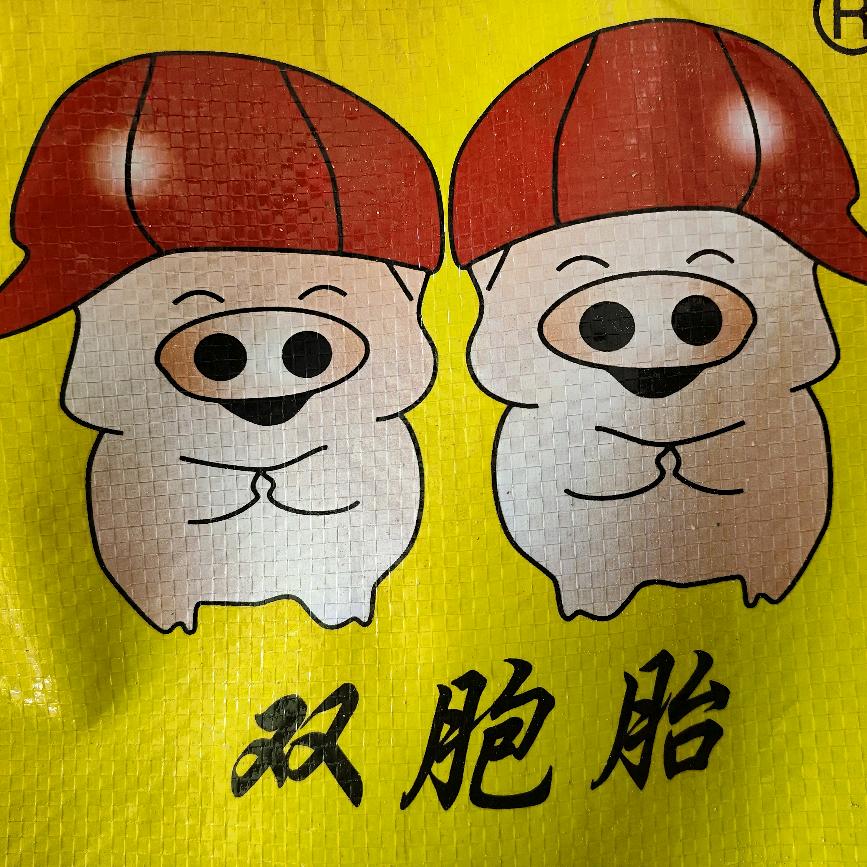 双胞胎饲料有限公司