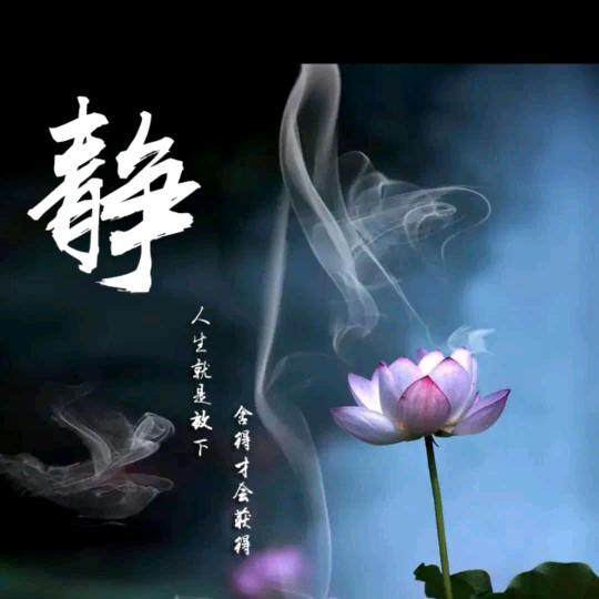 农村芳姐