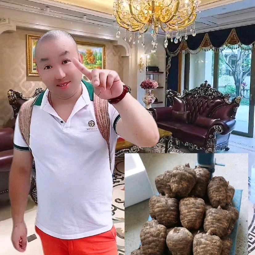 光头哥天麻多