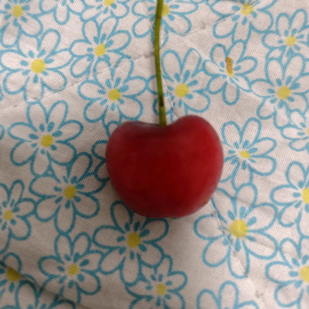 黄教授说教育