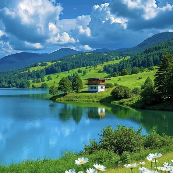 叶子知道风来过