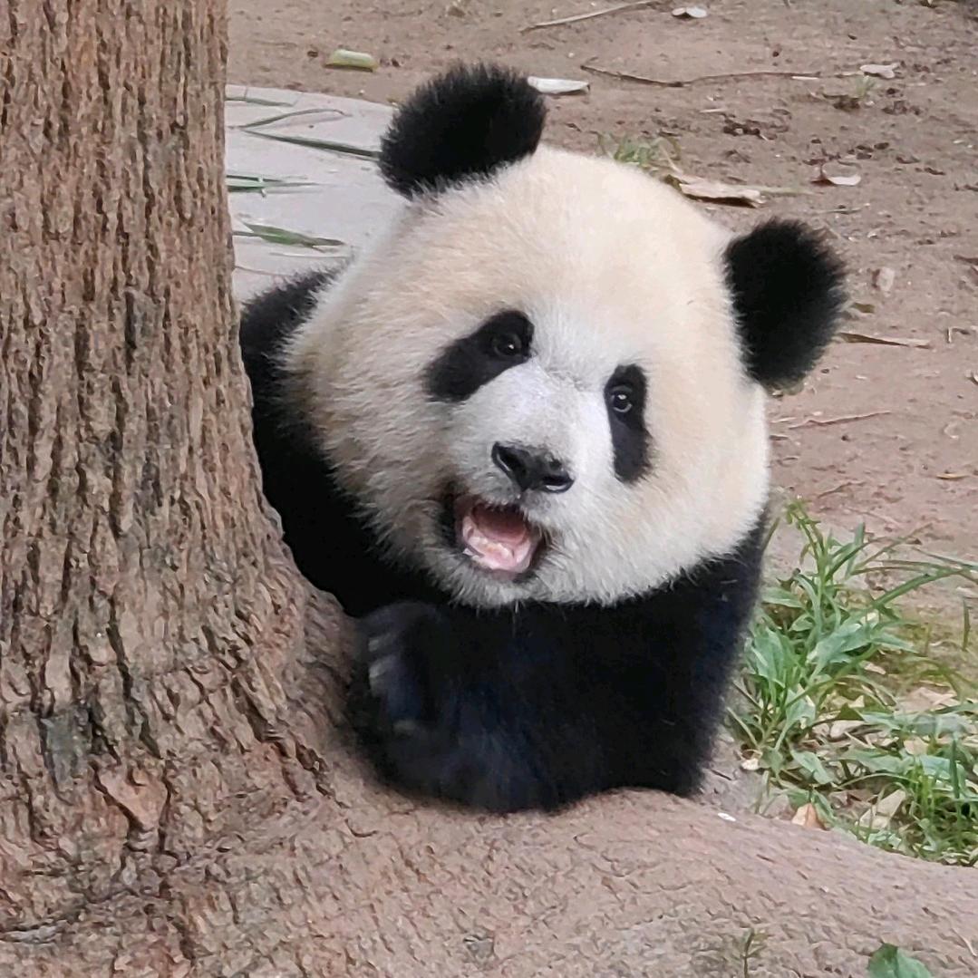 ꒰ঌ🍂顺小爱