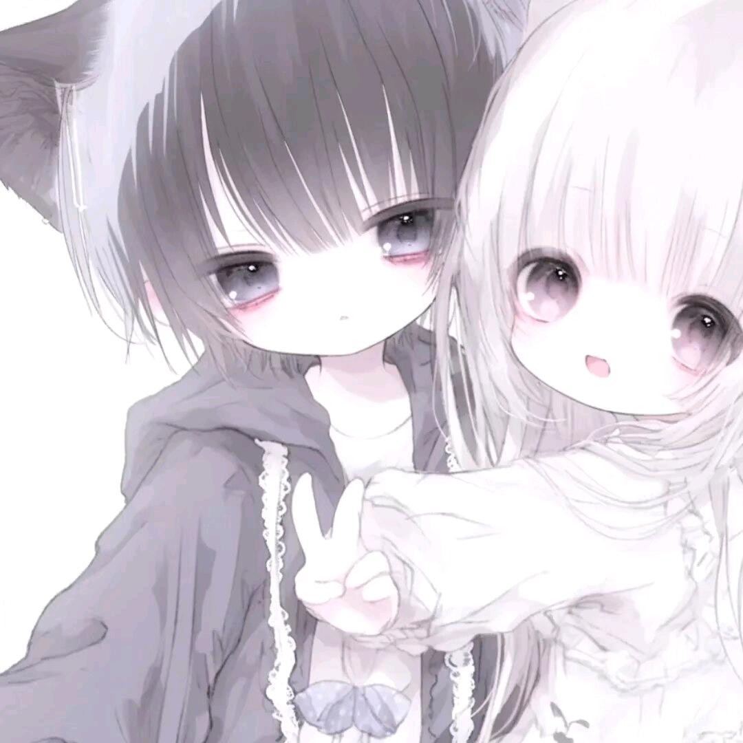 诺烟（接陪/代）