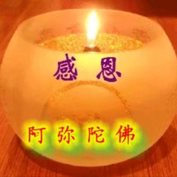 幸福快乐🍃