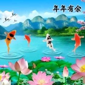 许珈绮