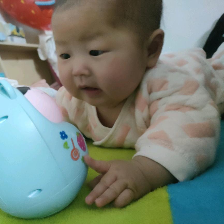 追着金子跑