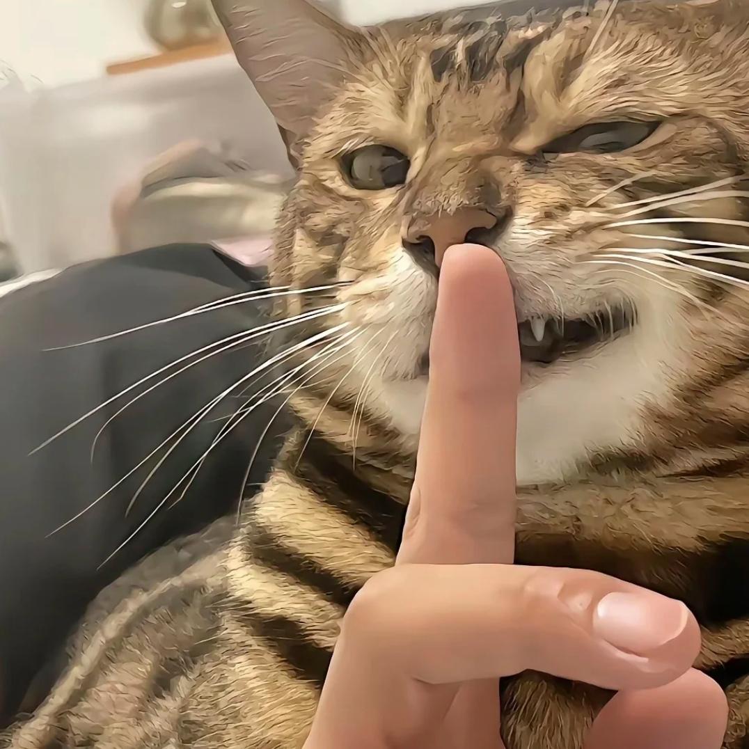 睡不醒💤