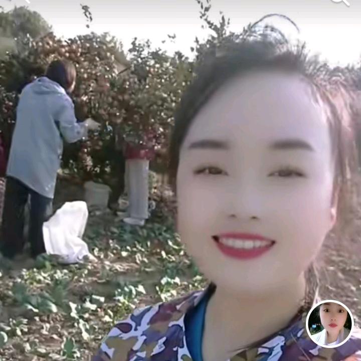 ✿ﾟ▽ﾟ繁花落尽✿