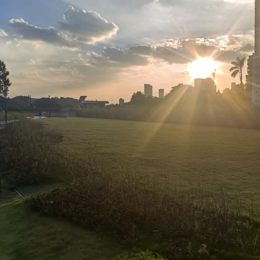 $村野