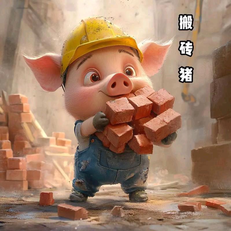 🐷搬砖猪🐷