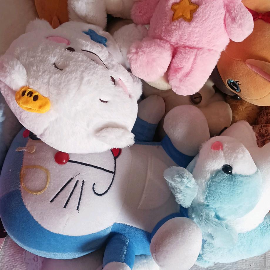 上蔡张朵旧衣回收，蛇