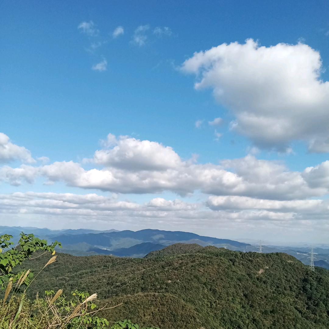 沧海与光