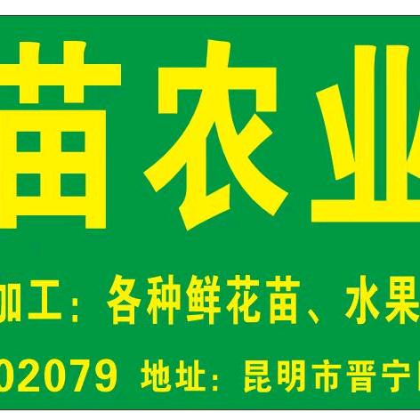 大地种苗