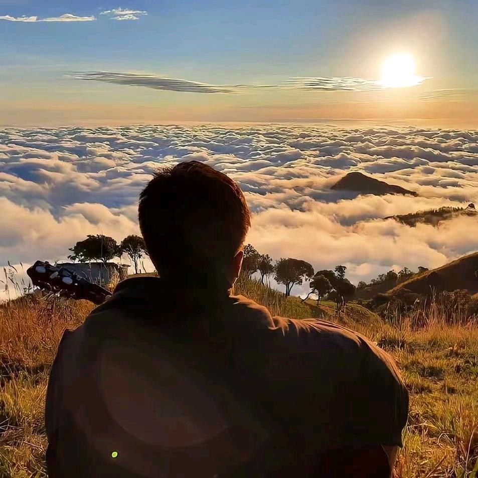 《———糾———》