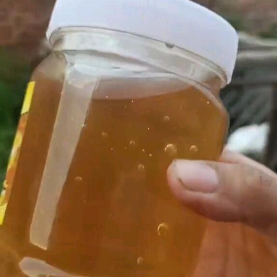 候伟