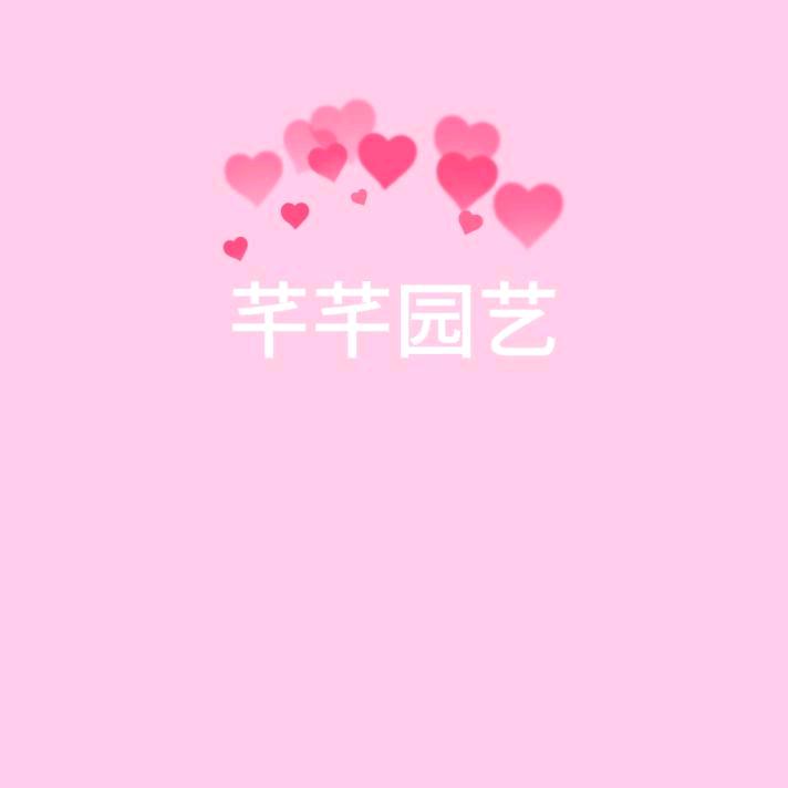 都江堰芊芊金弹