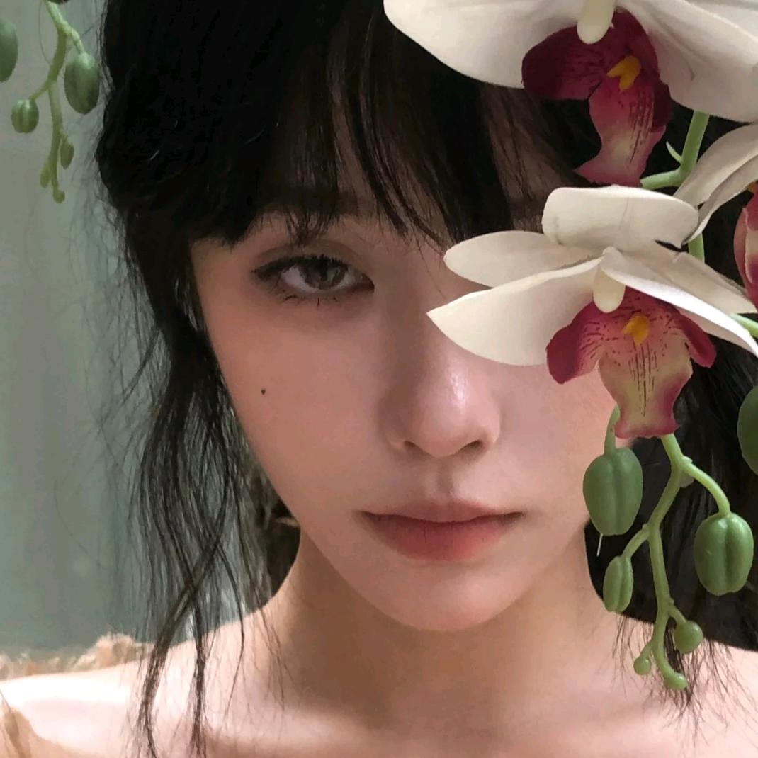 芙蓉