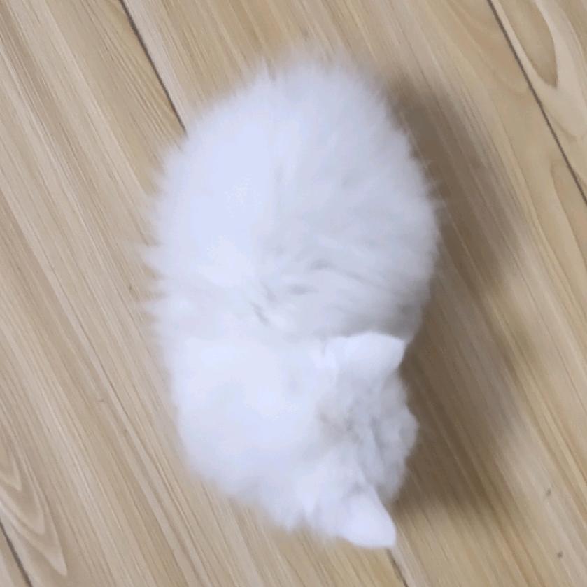 mi头像