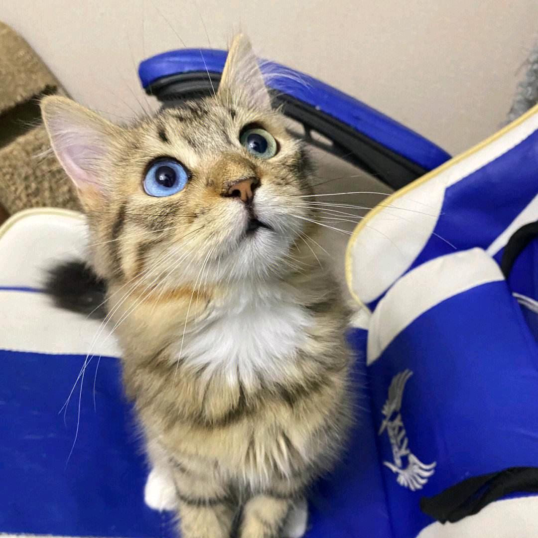 ☆★爱☆★
