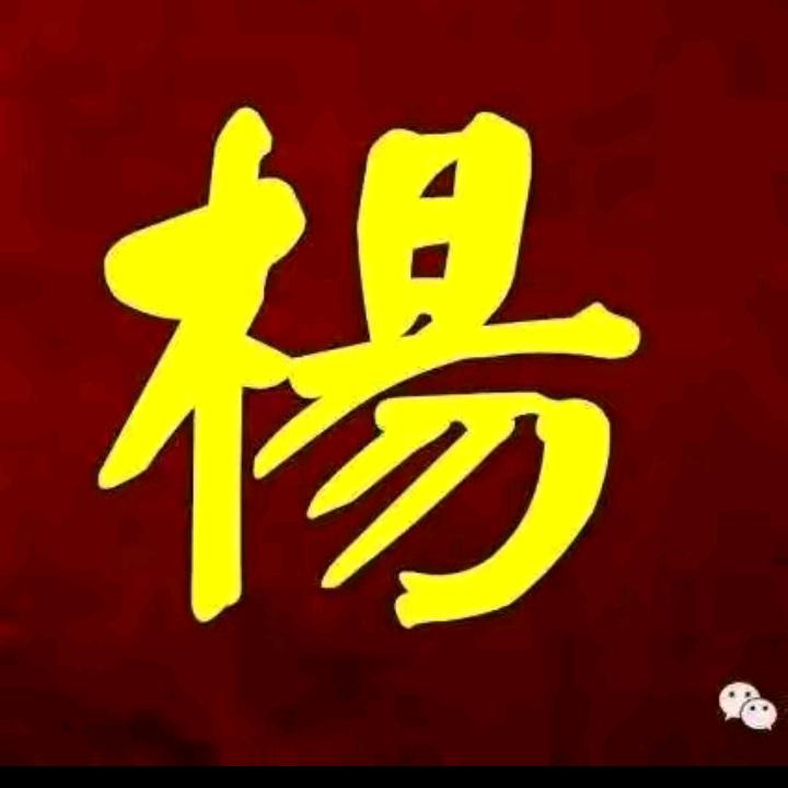 杨老六2629，