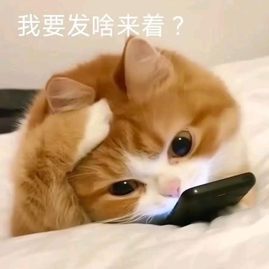 硕歆头像