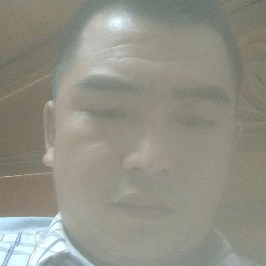 一本正经胡说8道