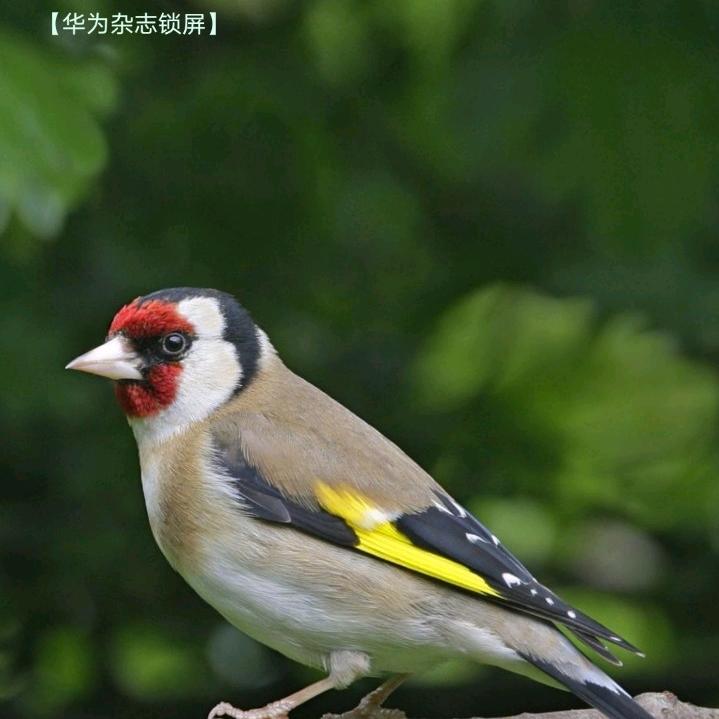 云丫头❤️❤️