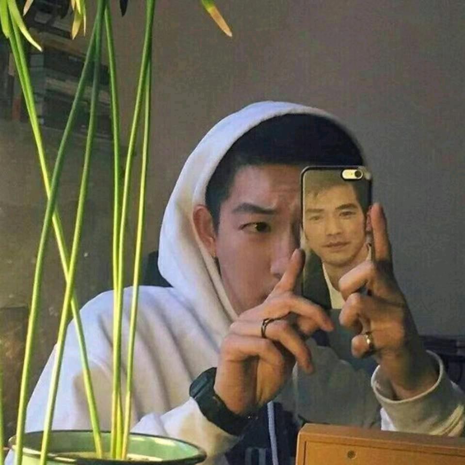 寒枫