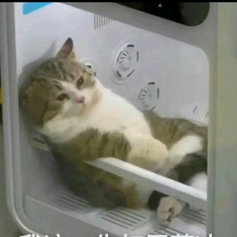 猛踹瘸子内条好腿