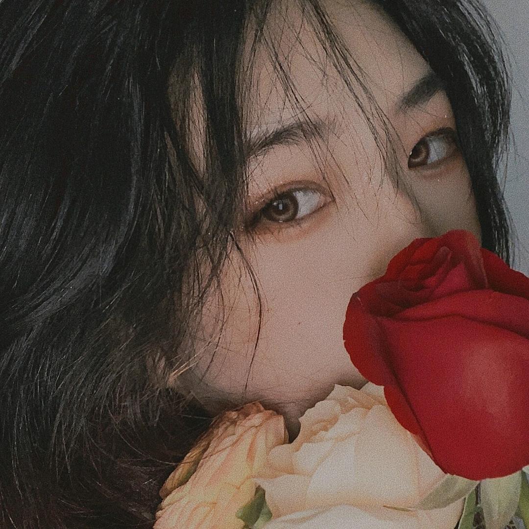 红玫瑰🌹