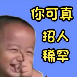才思敏捷的蒙古