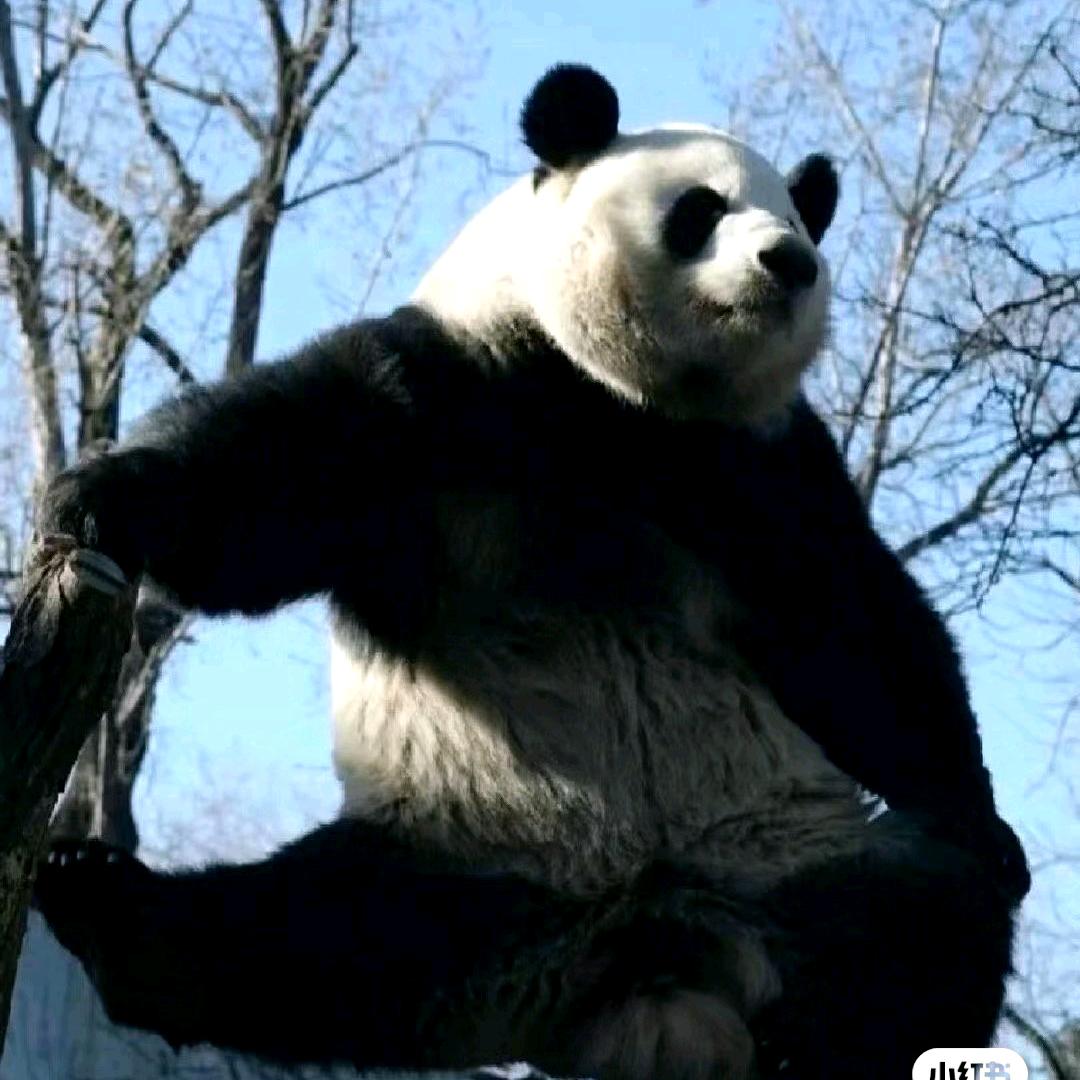 只贪恋丶你的温柔