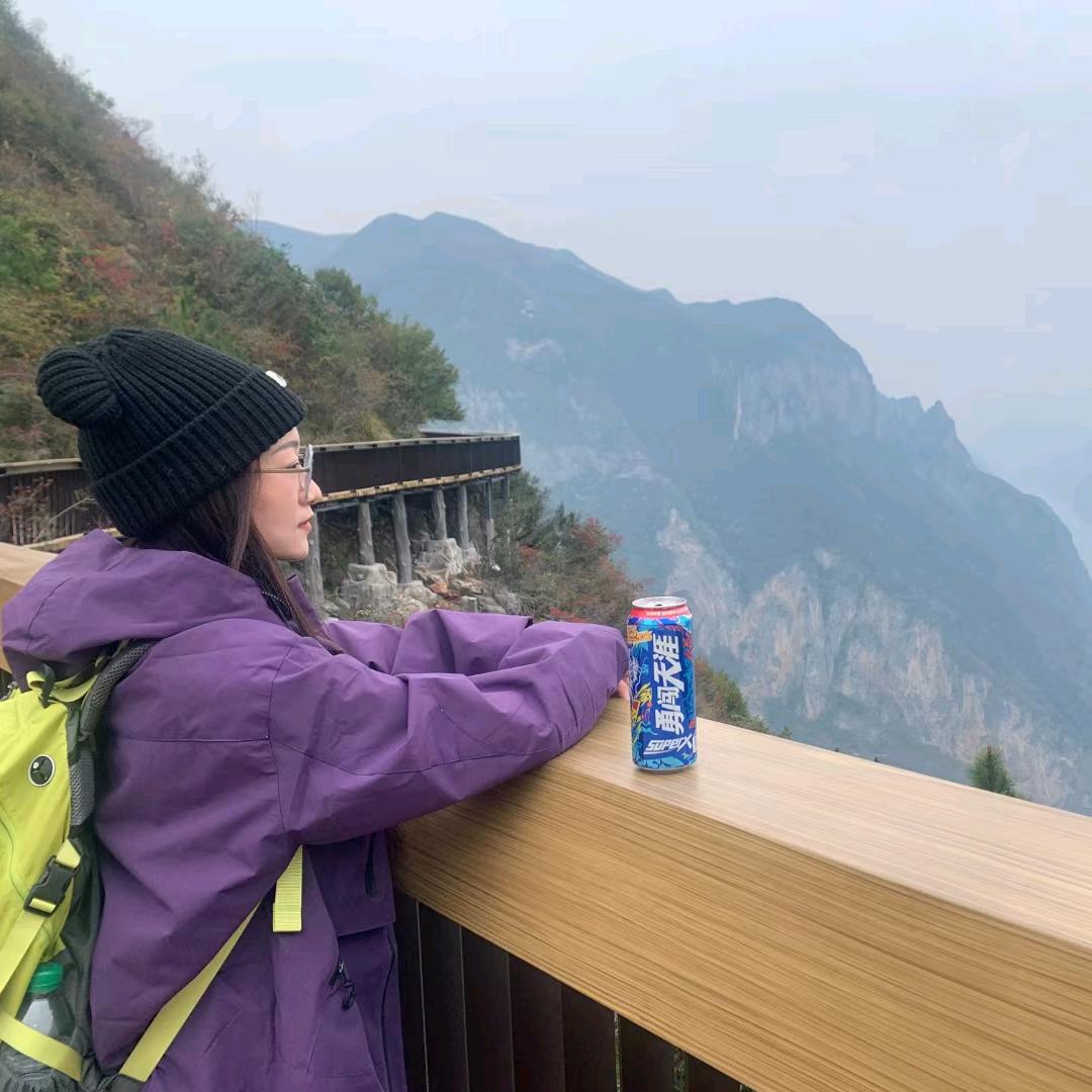 猫爪晃晃爱生活