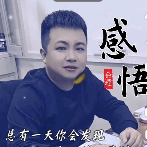 奋斗的蚂蚁